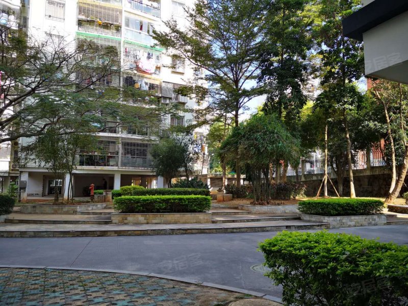 金沙花园,西林西二里31-38号-厦门金沙花园二手房,租房,房价-厦门安居