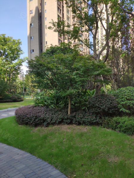 港城印象(西区)