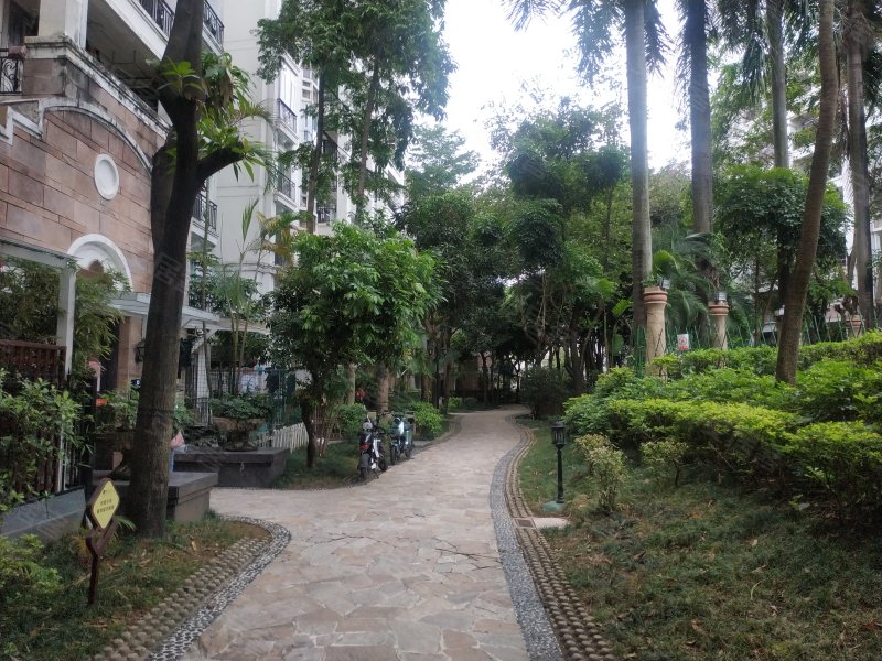 锦绣香江紫荆园