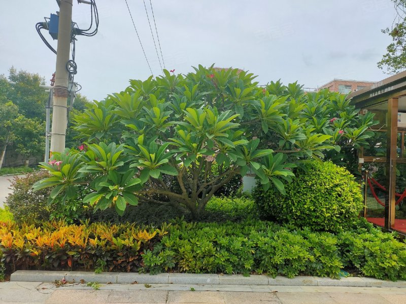 山湖海悦府