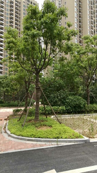 京福花园慧兰苑,凤淮路-合肥京福花园慧兰苑二手房,租房,房价-合肥