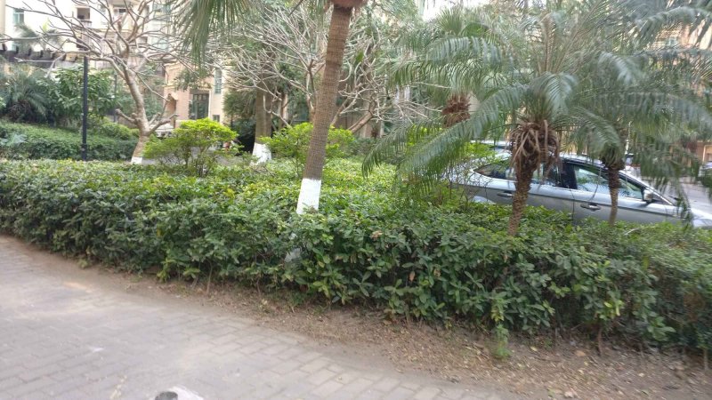 美丽花园,坦神北路117号-中山美丽花园二手房,租房,房价-中山安居客