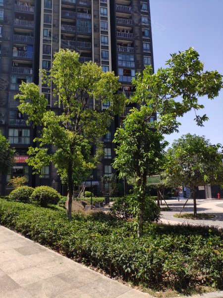 阳光丽苑,港安一路11号-重庆阳光丽苑二手房,租房,房价-重庆安居客