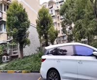 四季全景台花苑 