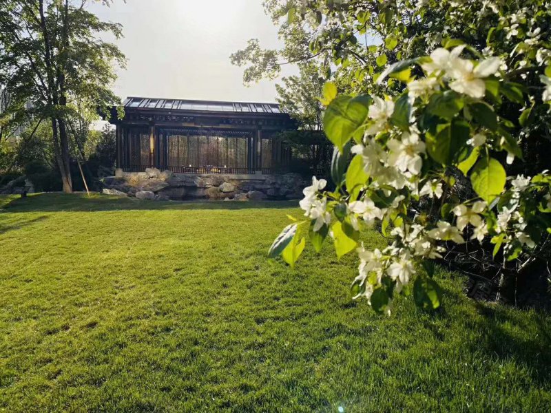 泰禾西府玉苑,西局后街10号-运城泰禾西府玉苑二手房,租房,房价-运城