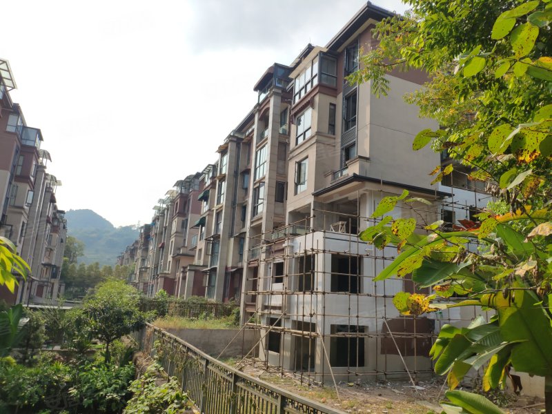 金隅大成南山郡汀澜岸,向黄路668号-重庆金隅大成南山郡汀澜岸二手房