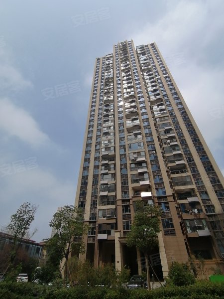 碧桂园皖投中央名邸