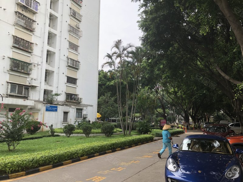 华联花园,南山大道1109号-深圳华联花园二手房,租房,房价-深圳安居客