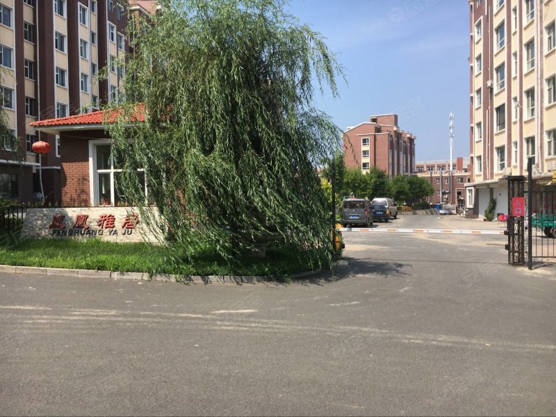 凤凰雅居,郁金香街99号