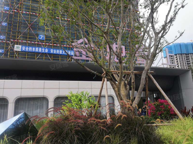 金地峯上,新澳路,近翔安南路-厦门金地峯上二手房,租房,房价-厦门安居