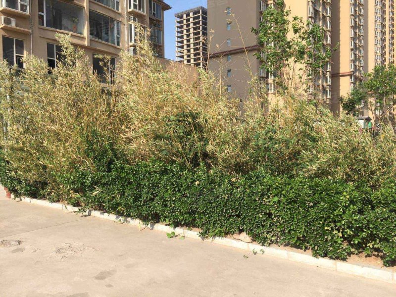 万聚凯旋城,东环路-邯郸万聚凯旋城二手房,租房,房价-邯郸安居客