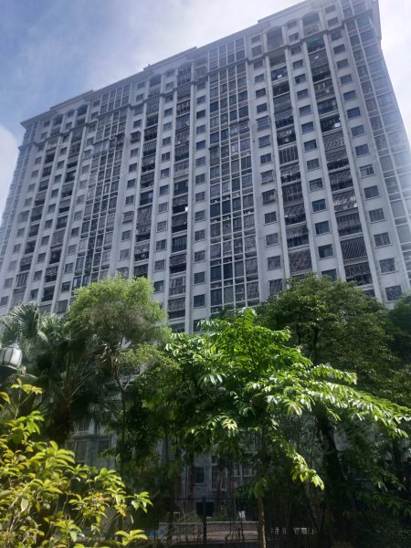 水岸名都,凤凰山路35号-汕头水岸名都二手房,租房,房价-汕头安居客