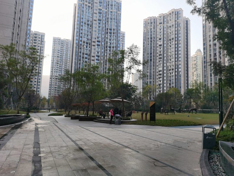 重庆双福时代广场图片图片