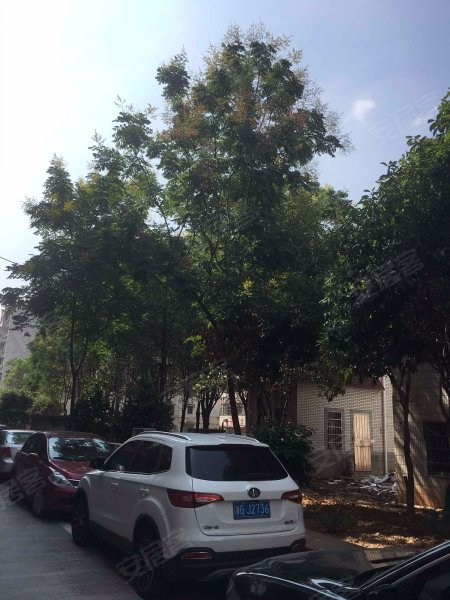 荷园小区,江滨中路-义乌荷园小区二手房,租房,房价-义乌安居客