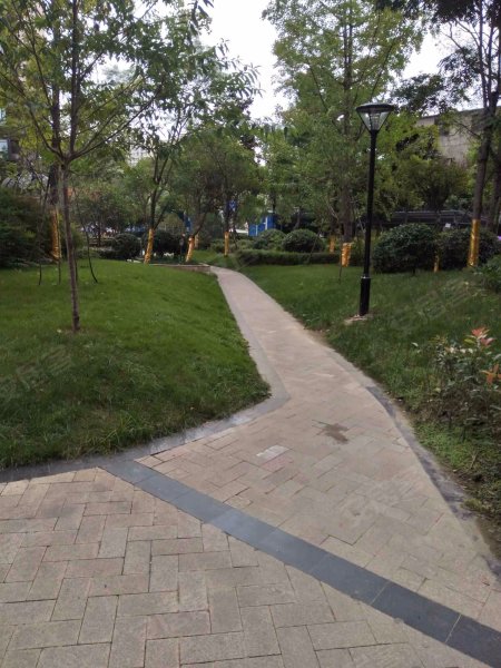 观澜国际(金堂)