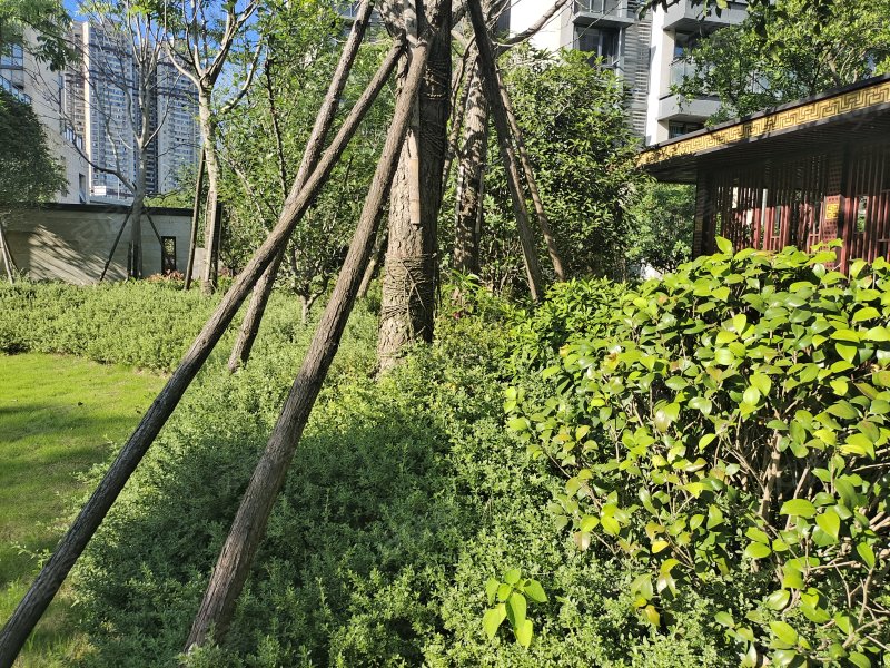 楚天郡府,湘江北路三段48号-长沙楚天郡府二手房,租房,房价-长沙安居