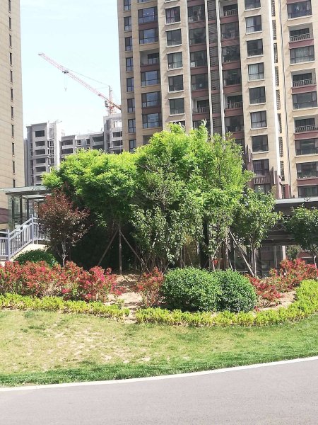 嘉亿国际,世纪路-淄博嘉亿国际二手房,租房,房价-淄博安居客