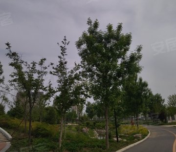 明瓦廊95号小区