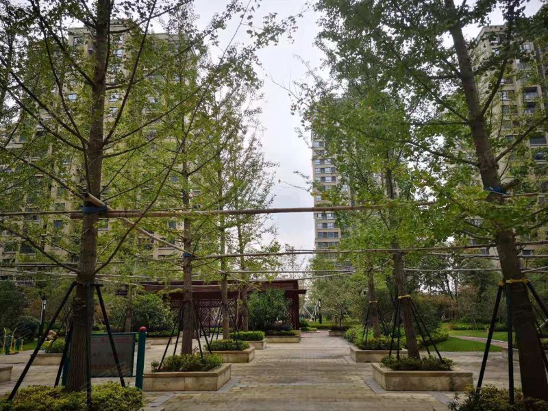 青枫雅苑,青雅路265号-宁波青枫雅苑二手房,租房,房价-宁波安居客