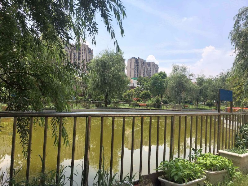 环绿国际(公寓住宅) 