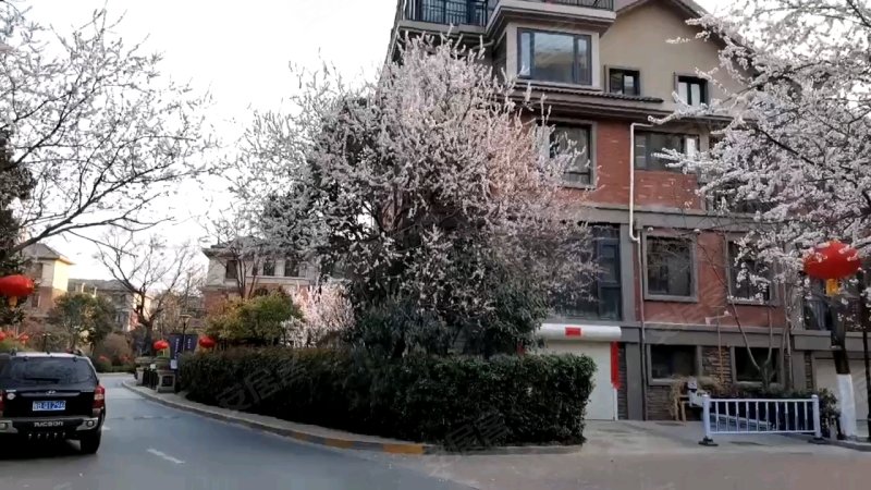 开元华庭(别墅),集英街-开封开元华庭(别墅)二手房,租房,房价-开封