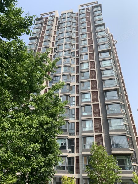 武夷花园月季园