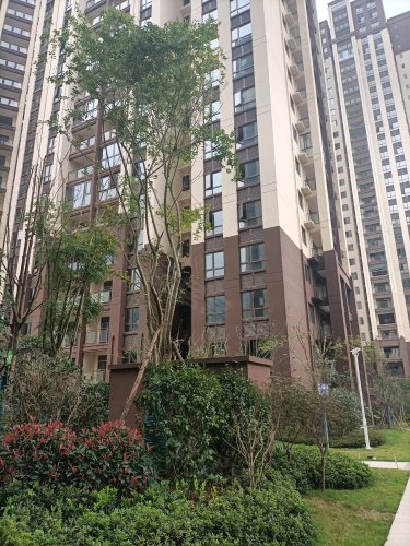 桃溪紫云台,银河路 - 遵义桃溪紫云台二手房,租房,房价-遵义安居客