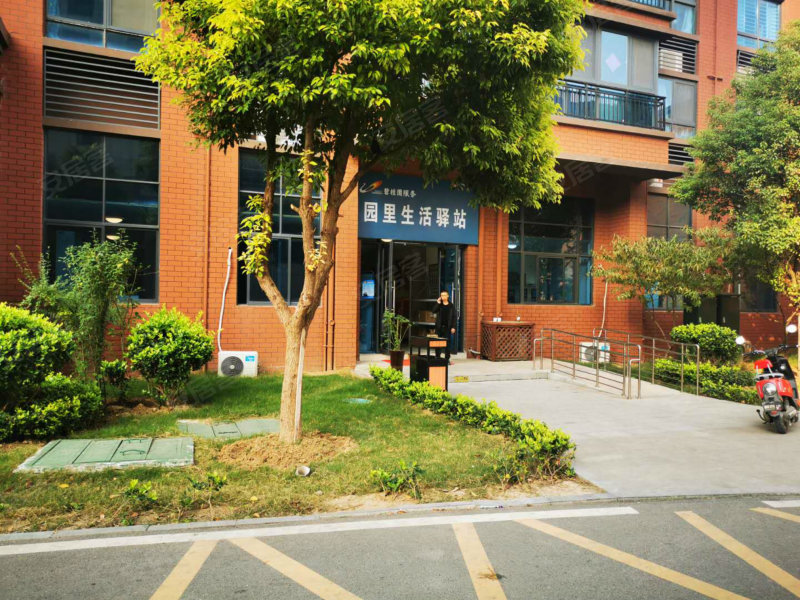 临泉碧桂园