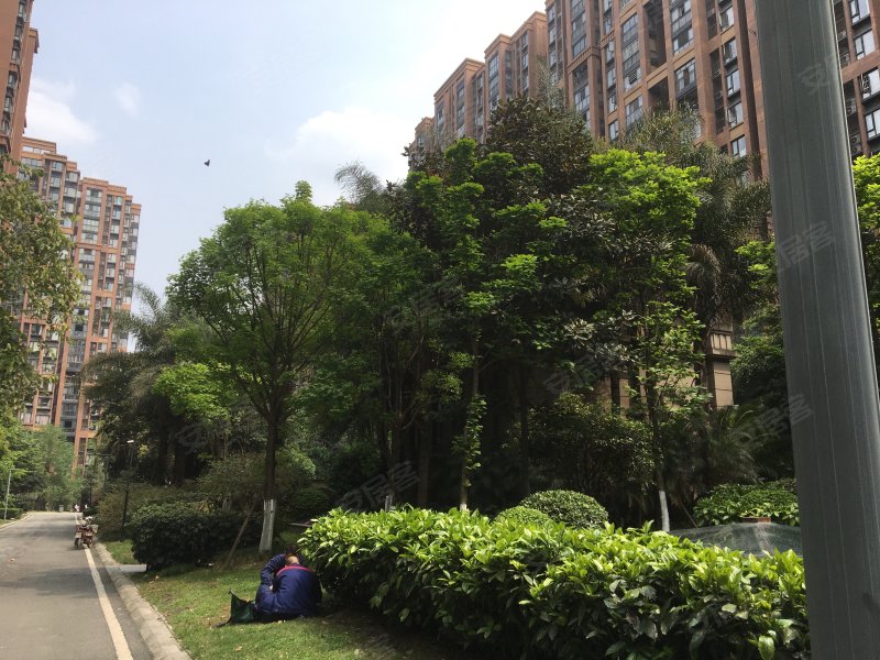 蓝光花满庭一期