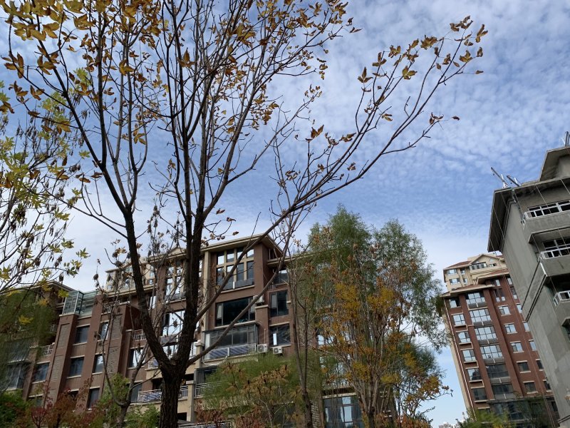 万科翡翠公园,宝湖中路-银川万科翡翠公园二手房,租房,房价-银川安居