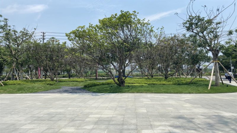 春天里(一期,定津路,近沙井大道-南宁春天里(一期)二手房,租房,房价