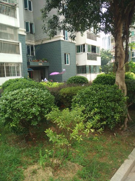 西园雅居西区,玄南岭路630号-福州西园雅居西区二手房,租房,房价-福州