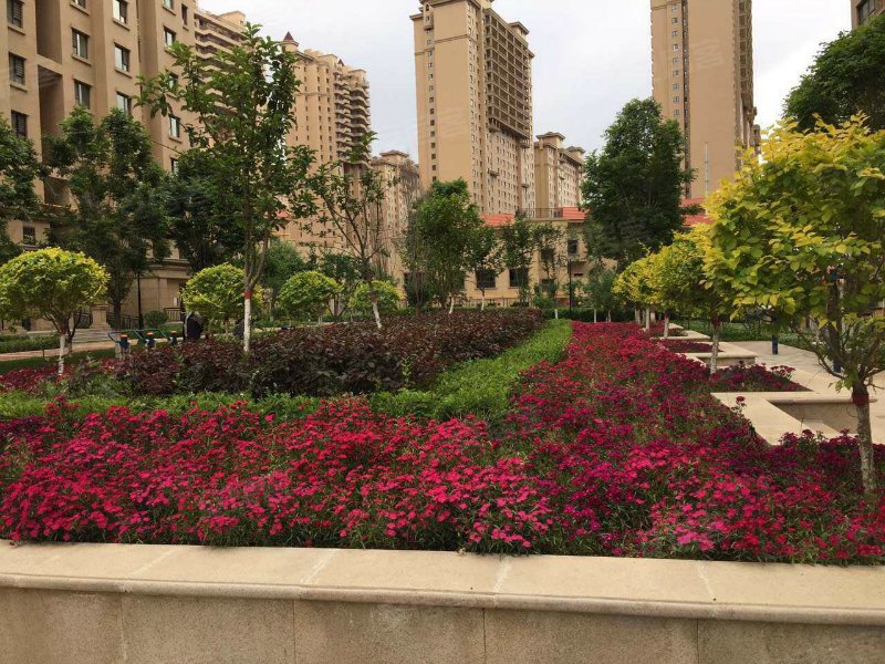 马德里春天(一期)