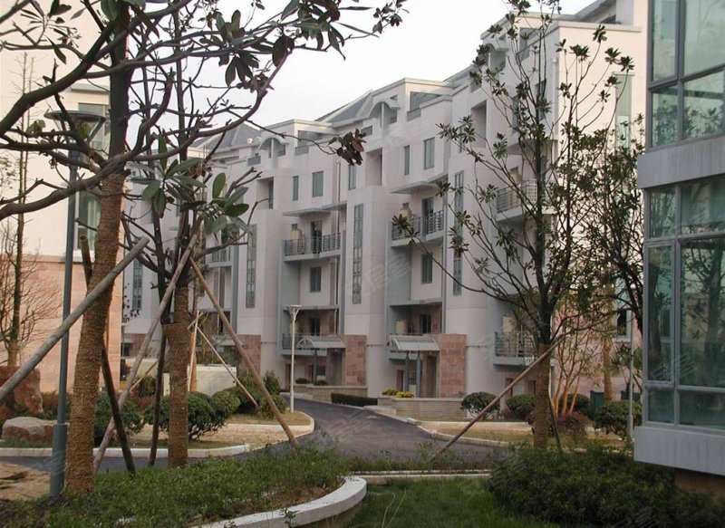 仁恒玉兰山庄(别墅),玉兰路2号-南京仁恒玉兰山庄(别墅)二手房,租房