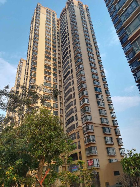 荔晶新城,茂名大道-茂名荔晶新城二手房,租房,房价-茂名安居客