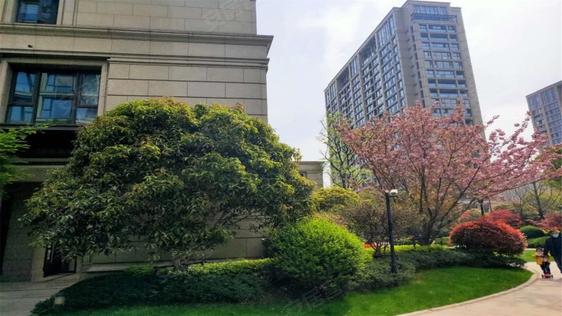 玉兰西花园(二三期),观顺道,近立信大道-无锡玉兰西花园(二三期)二手