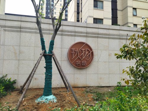 珑玥名邸,四望路88号 - 南京珑玥名邸二手房,租房,房价-南京安居客