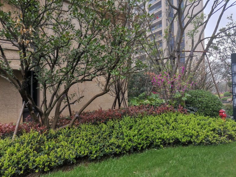 中交御墅,卓敬路,近民公路-温州中交御墅二手房,租房,房价-温州安居客