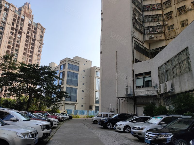 东洲花园,情侣路10号