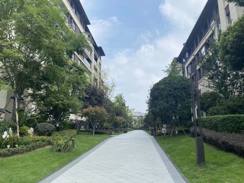 金科金辉博翠山揽翠