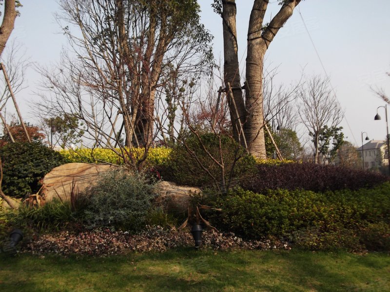 古北香堤岭,南六公路558弄-上海古北香堤岭二手房,租房,房价-上海安居