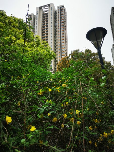 仙林悦城,仙林东路6号-南京仙林悦城二手房,租房,房价-南京安居客