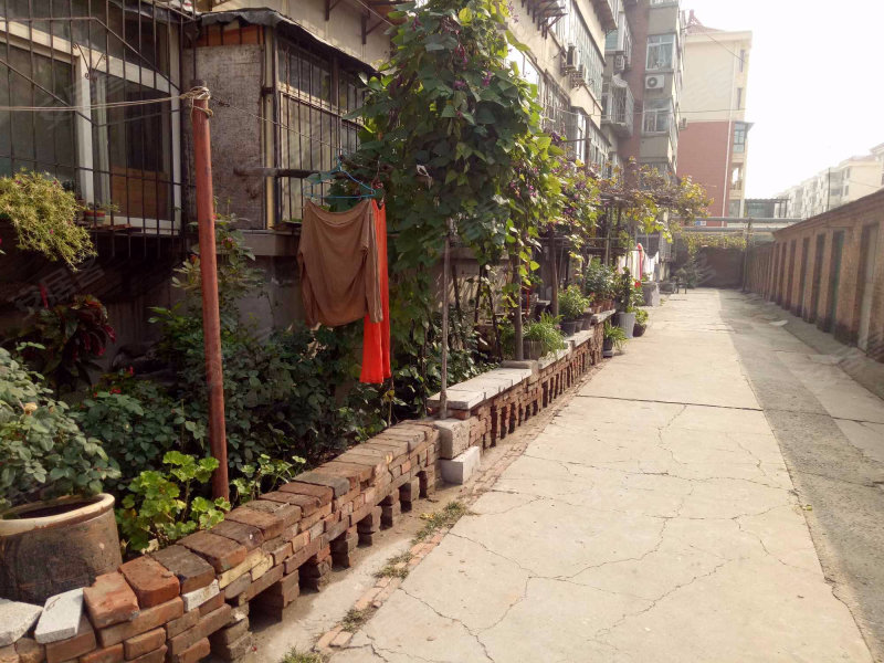 针织厂宿舍,长城南大街-保定针织厂宿舍二手房,租房,房价-保定安居客