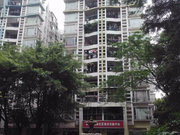 天河小区图片