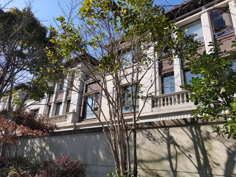 阳光城花满墅(别墅)