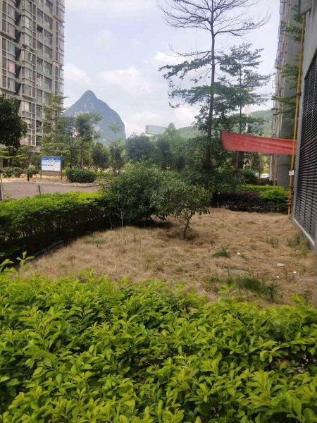 古山居苑(北区),港城路,近政和路-柳州古山居苑(北区)二手房,租房