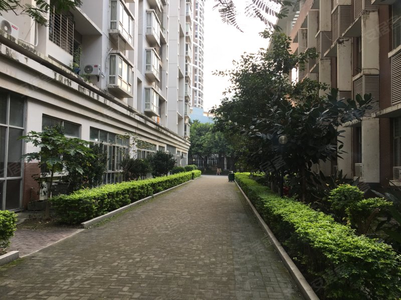 锦洲瑞苑,池峰路316号-泉州锦洲瑞苑二手房,租房,房价-泉州安居客