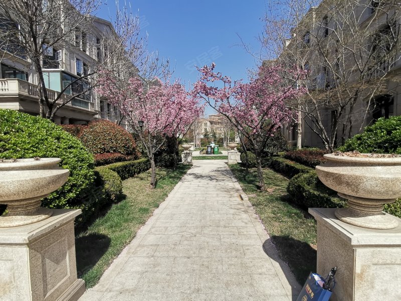 绿城理想之城御园b区