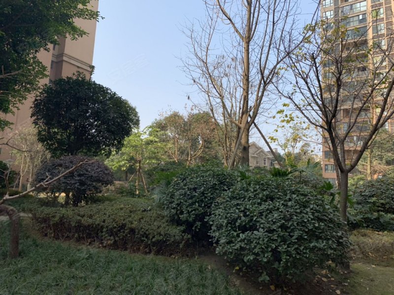 洛森堡映山,麓山大道680号,麓山大道一段630号-成都洛森堡映山二手房