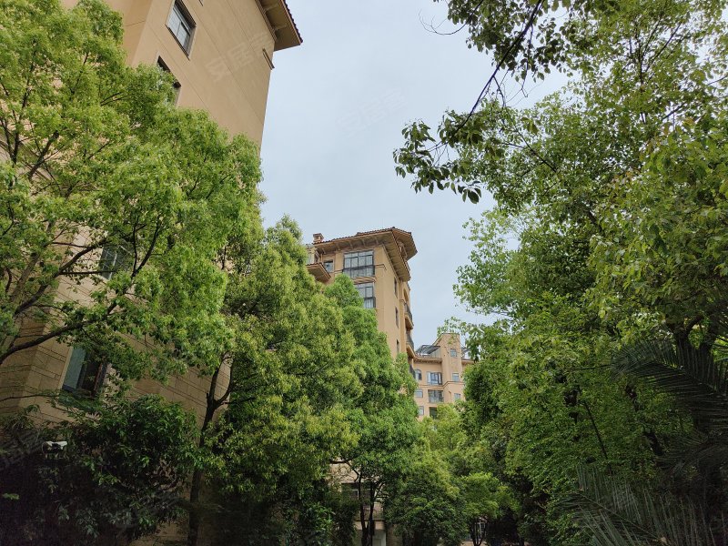 香江水岸新城(公寓住宅)